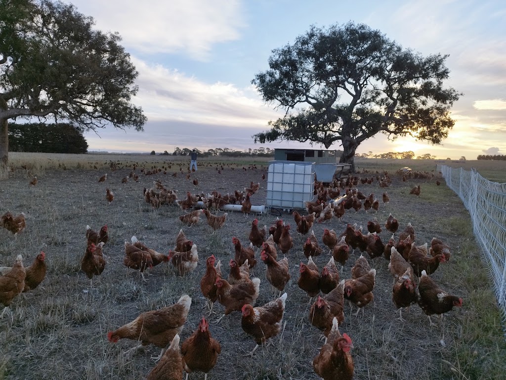 Freshwater Free Range | 2150 Barrabool Rd, Mount Moriac VIC 3240, Australia | Phone: 0493 355 131