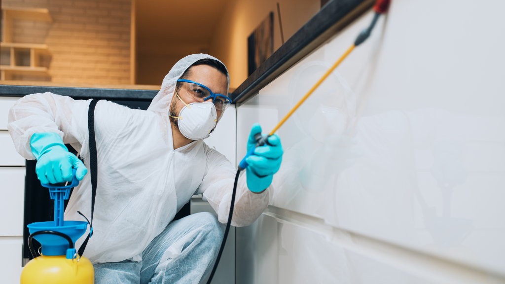 Pest Control Homebush | School Rd, Homebush VIC 3465, Australia | Phone: (03) 8583 2128