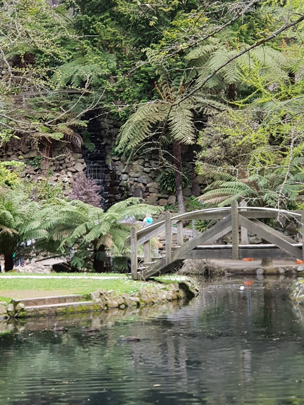 Alfred Nicholas Memorial Gardens - Gardens of the Dandenongs | park | 1A Sherbrooke Rd, Sherbrooke VIC 3789, Australia