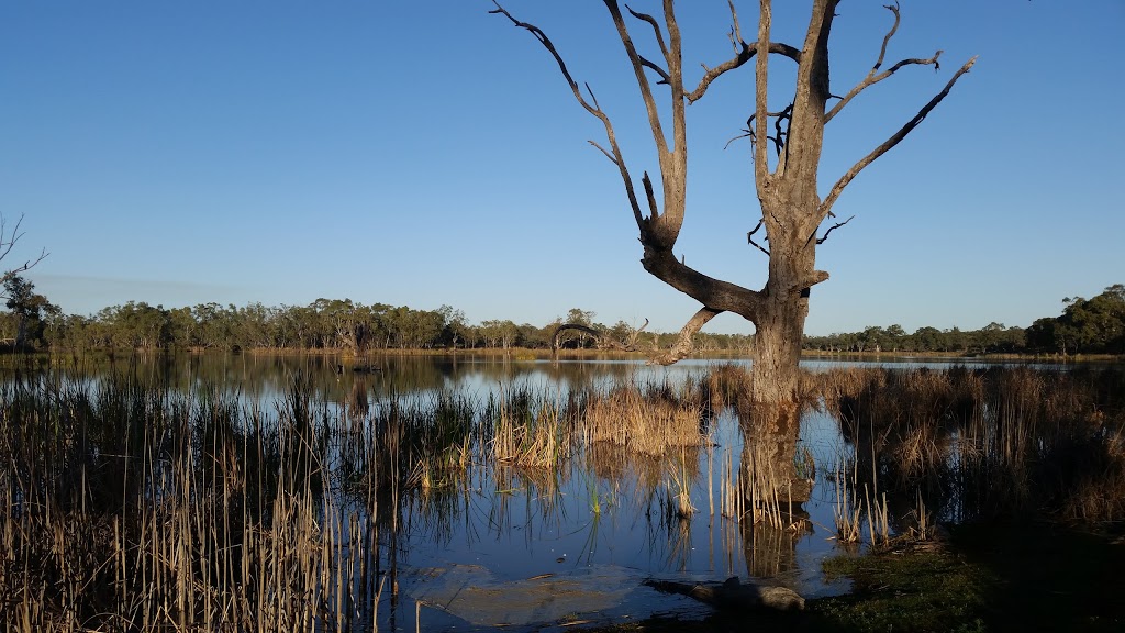 Loch Luna Game Reserve | Overland Corner SA 5330, Australia