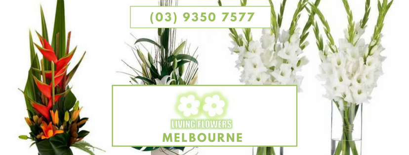 Living Flowers | 430 Bell St, Pascoe Vale South VIC 3044, Australia | Phone: (03) 9350 7577