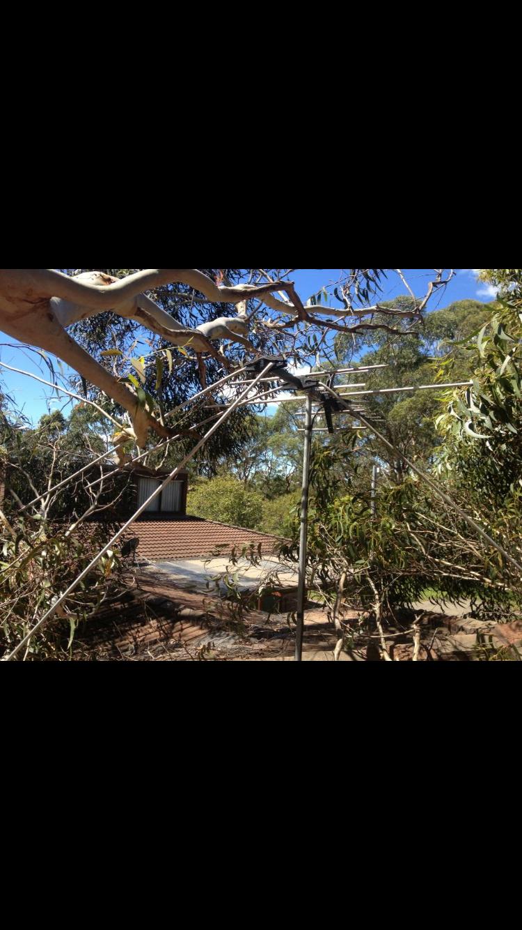All Access Tree Services | 157 Fisher Rd, Maraylya NSW 2765, Australia | Phone: 0431 036 842