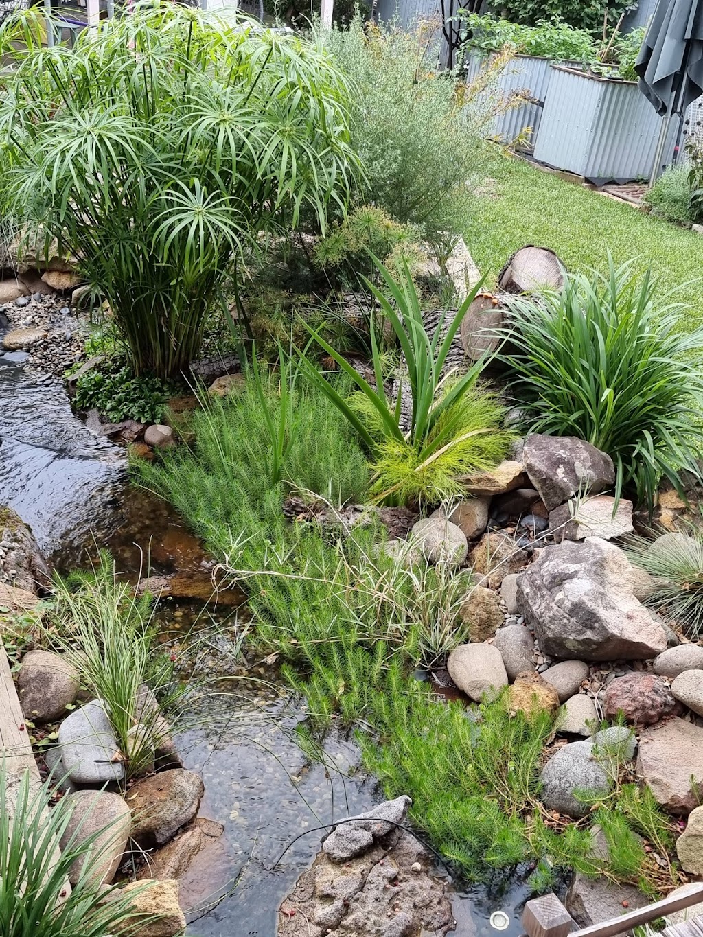 Anything Wet - Ponds & Water Features | pet store | 66 Watagan Forest Dr, Jilliby NSW 2259, Australia | 0415165897 OR +61 415 165 897