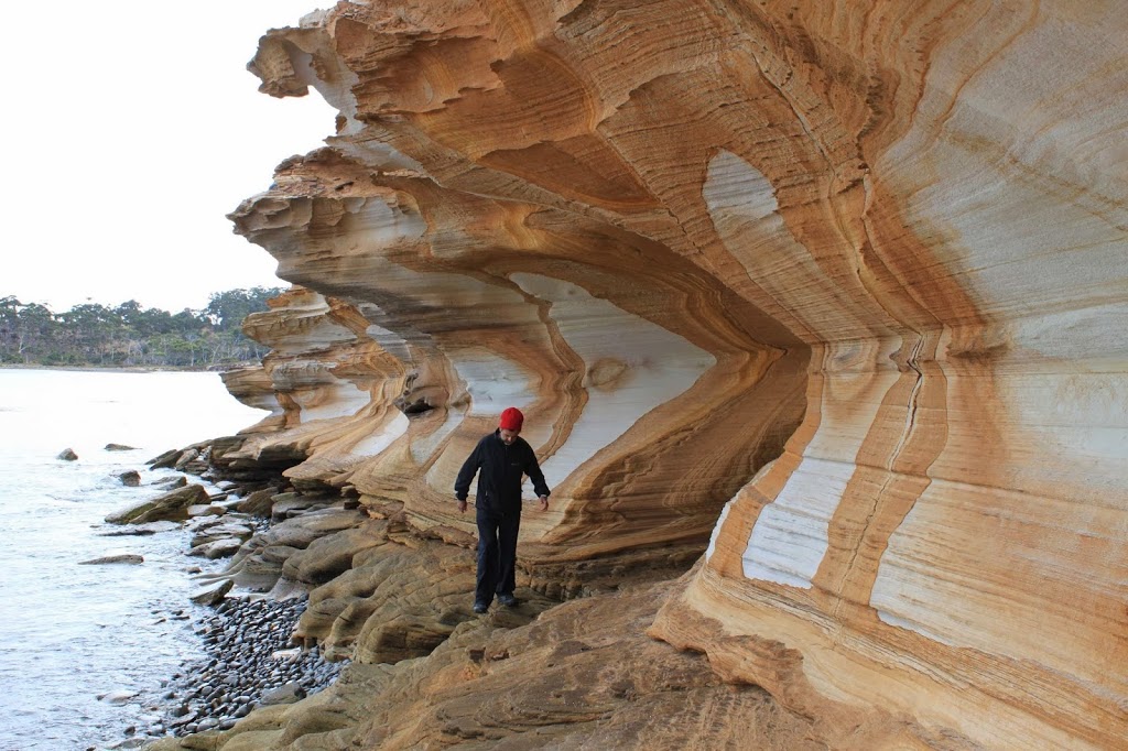 The Maria Island Guided Walk | Darlington, Maria Island TAS 7000, Australia | Phone: 0400 882 742