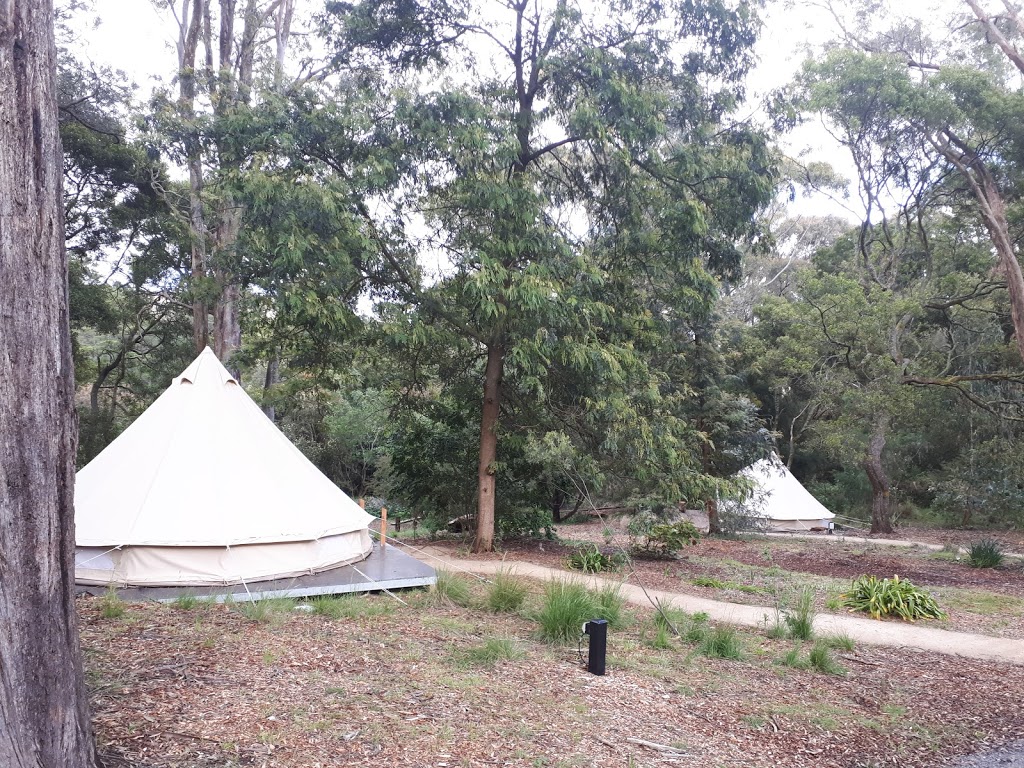 Cafe at the Garden of St Erth & Garden Beds Glamping | cafe | 189 Simmons Reef Rd, Blackwood VIC 3458, Australia | 0353686520 OR +61 3 5368 6520