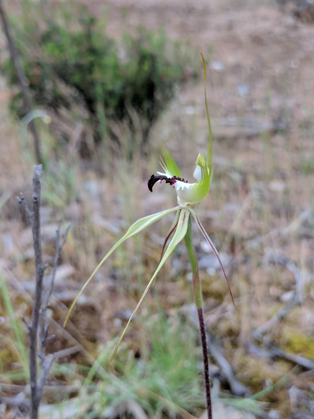 Kiata Flora & Fauna Reserve | Kiata VIC 3418, Australia | Phone: 13 19 63