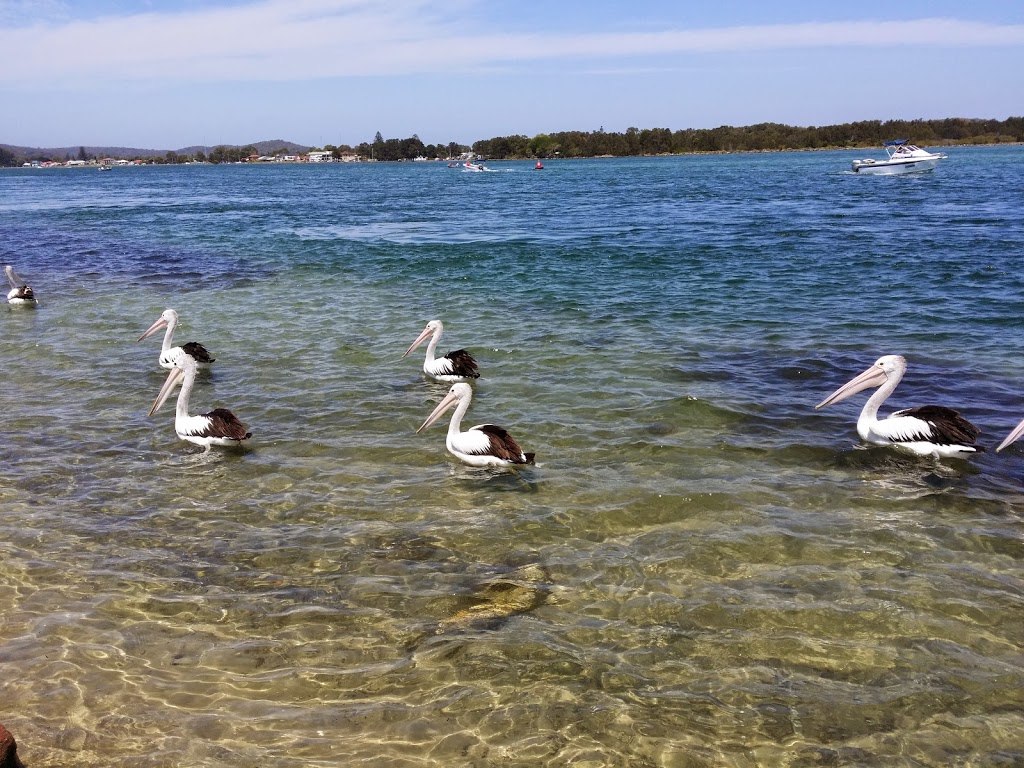 Pelican Foreshore | park | Lakeview Parade, Pelican NSW 2281, Australia | 0249210333 OR +61 2 4921 0333