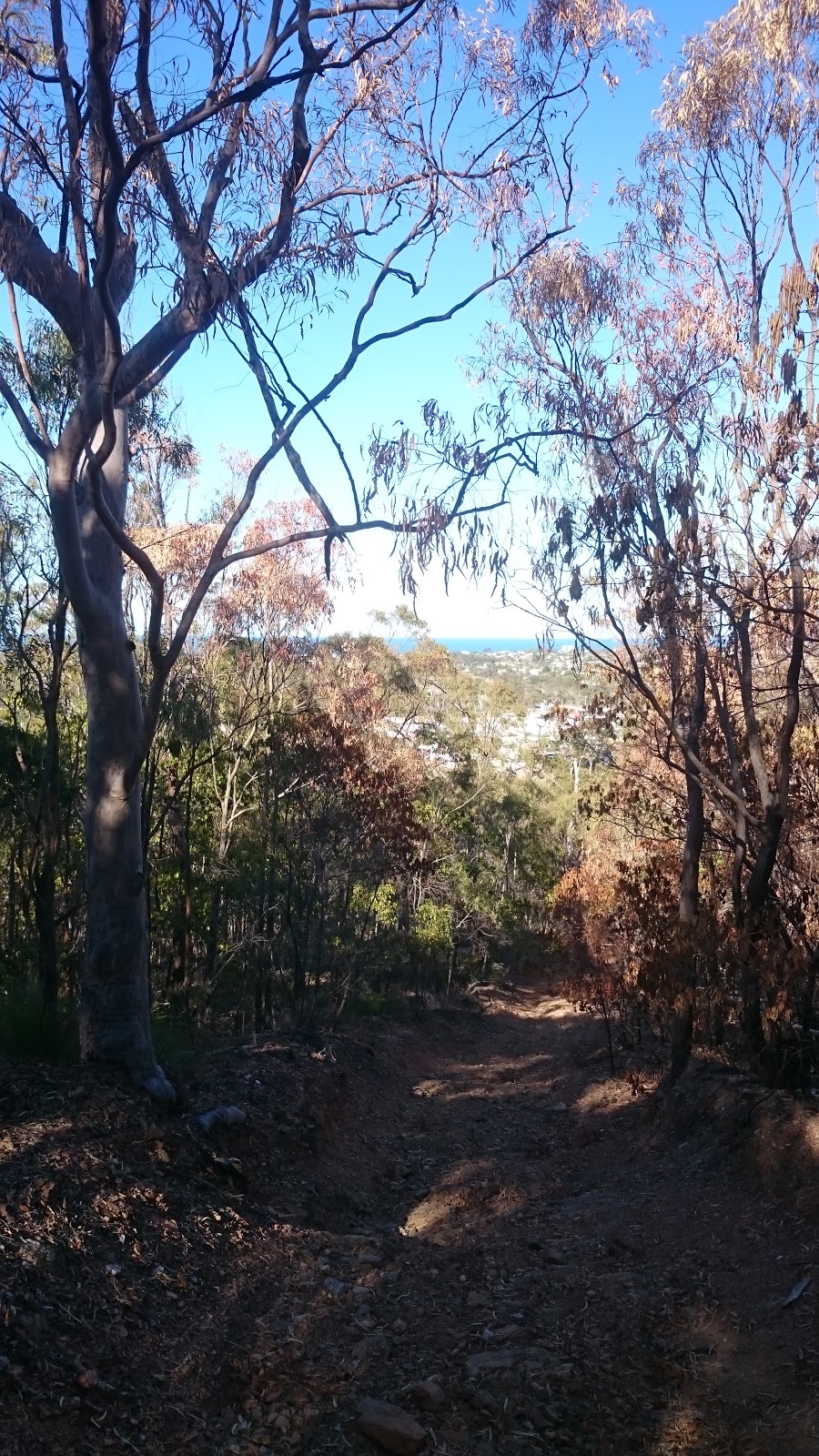 Boyne Island Conservation Park | park | Boyne Island QLD 4680, Australia