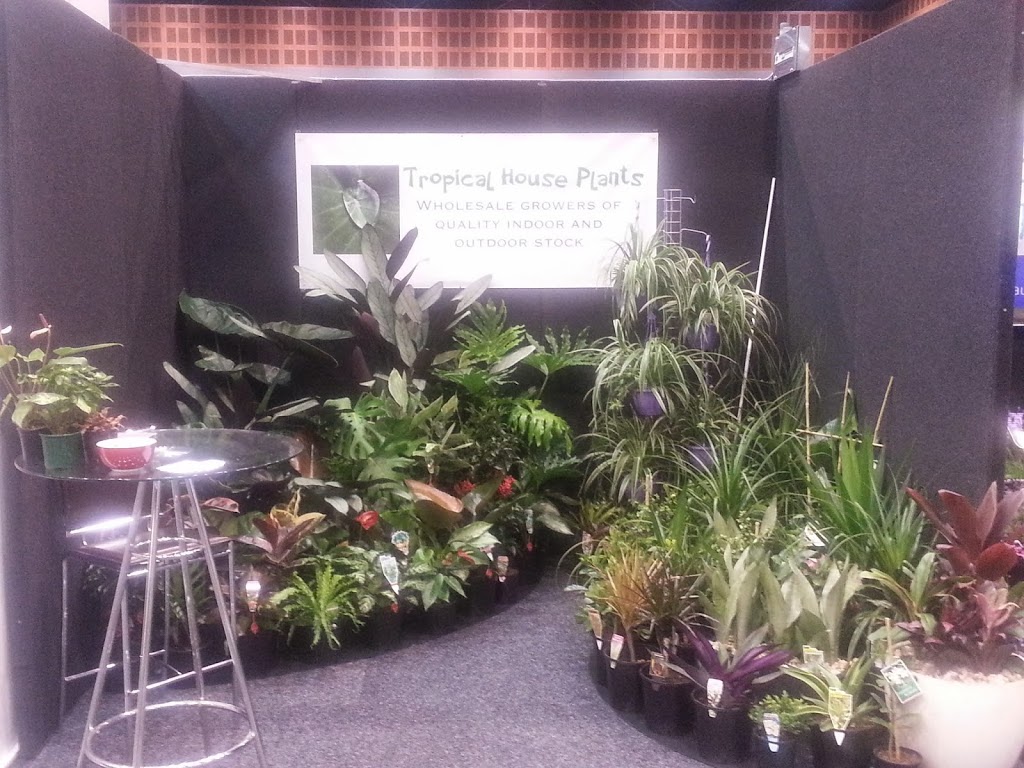 Tropical House Plants | 165 Doonan Bridge Rd, Verrierdale QLD 4562, Australia | Phone: 0412 616 693