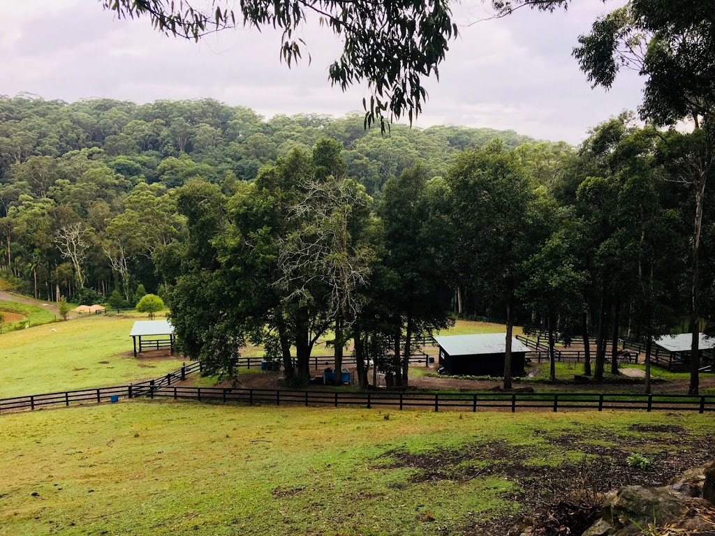 The Outlook Riding Academy | Gate 2/256 Scenic Hwy, Terrigal NSW 2260, Australia | Phone: 0427 189 567