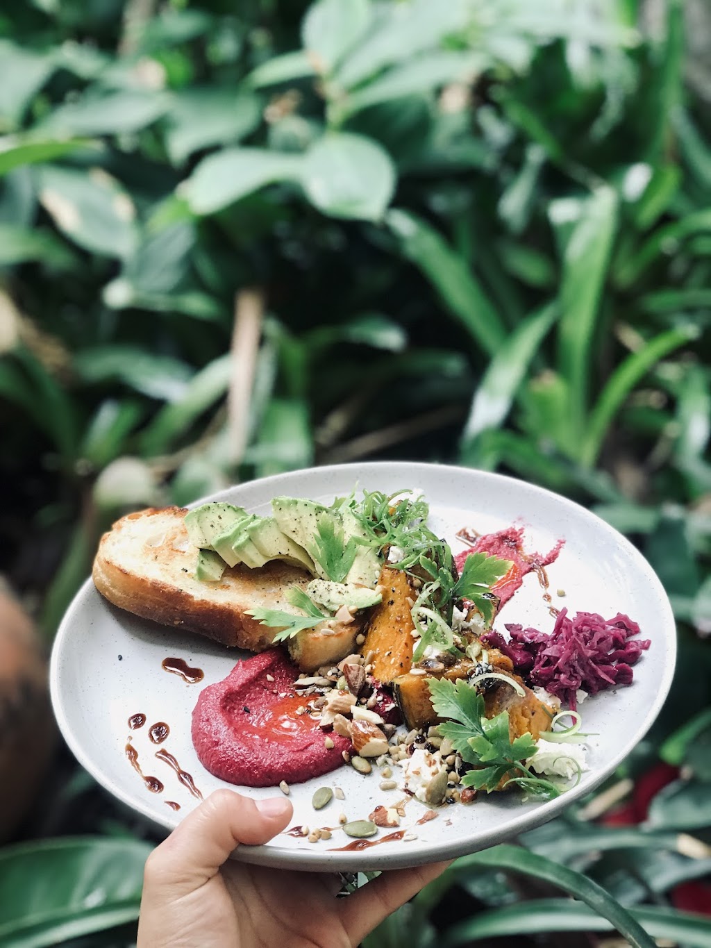 Tayzies | 2530 Coolamon Scenic Dr, Mullumbimby NSW 2482, Australia | Phone: 0485 683 760