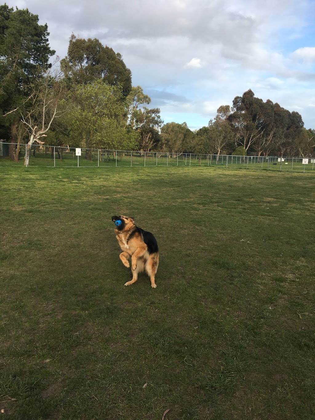 Off-Lead Area | park | 13 McKenzie Ln, Narre Warren North VIC 3804, Australia