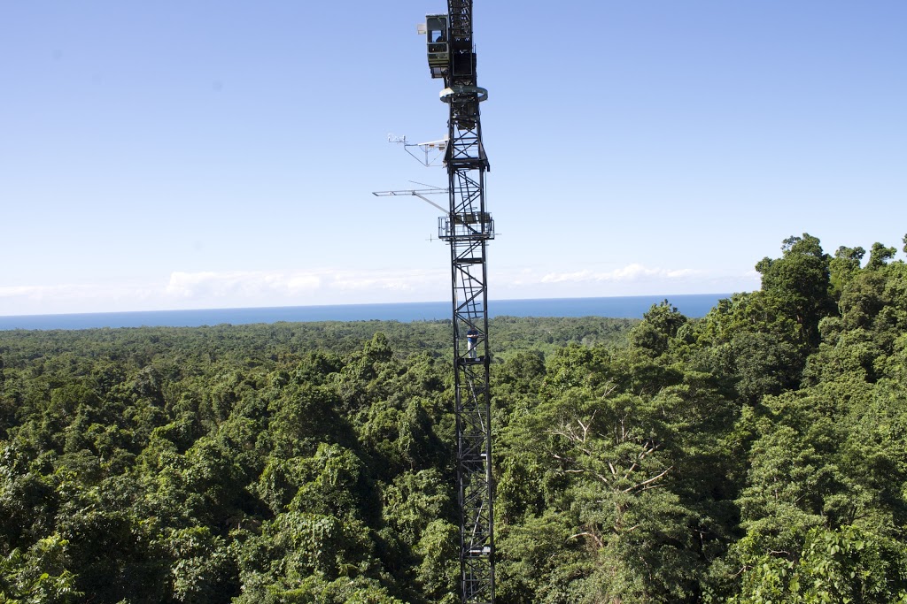 Daintree Rainforest Observatory, James Cook University | Cape Tribulation QLD 4873, Australia | Phone: (07) 4098 0005