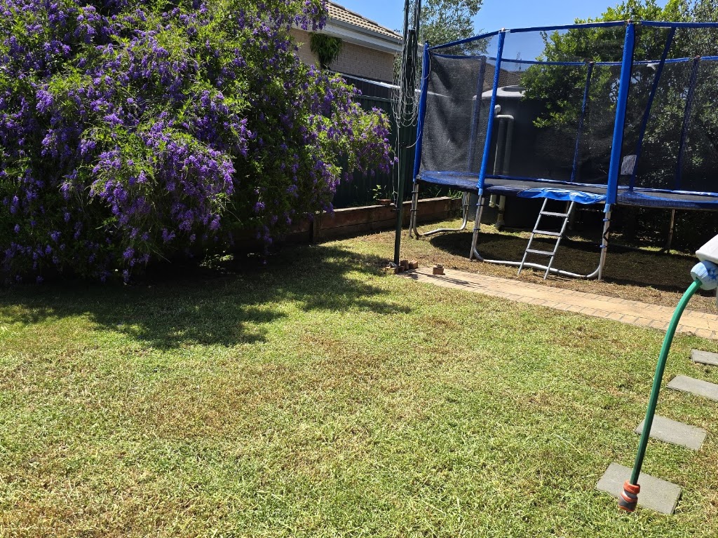 Budget Lawns Plus Woongarrah | 1 Evergreen Parade, Woongarrah NSW 2259, Australia | Phone: 1300 866 122