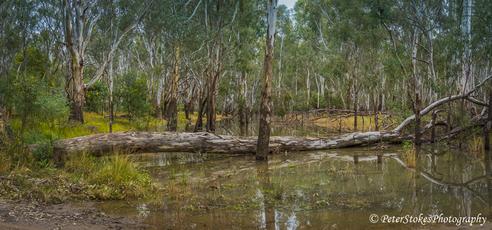 Yarrawonga Regional Park | Australia