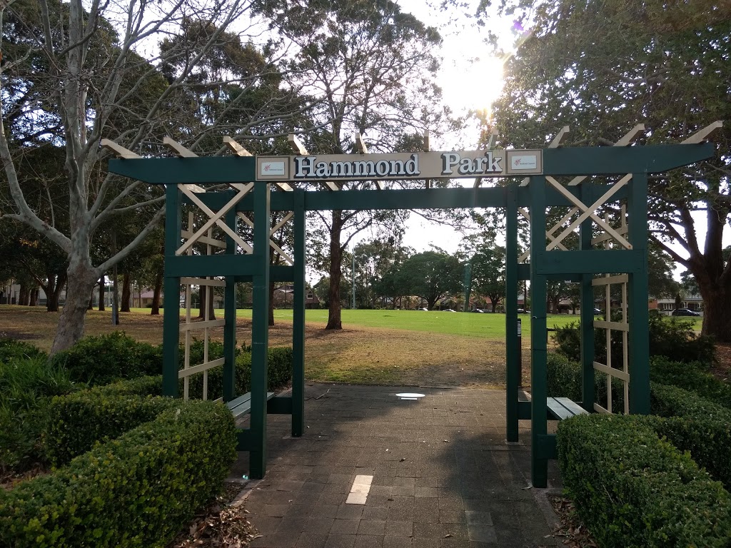 Hammond Park | park | 34 Henry St, Ashfield NSW 2131, Australia