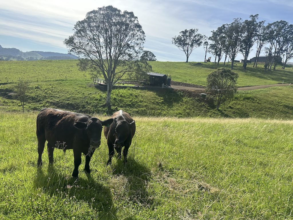 Banool Tiny House | 82 Manchester Rd, Bindera NSW 2422, Australia | Phone: 0418 234 122