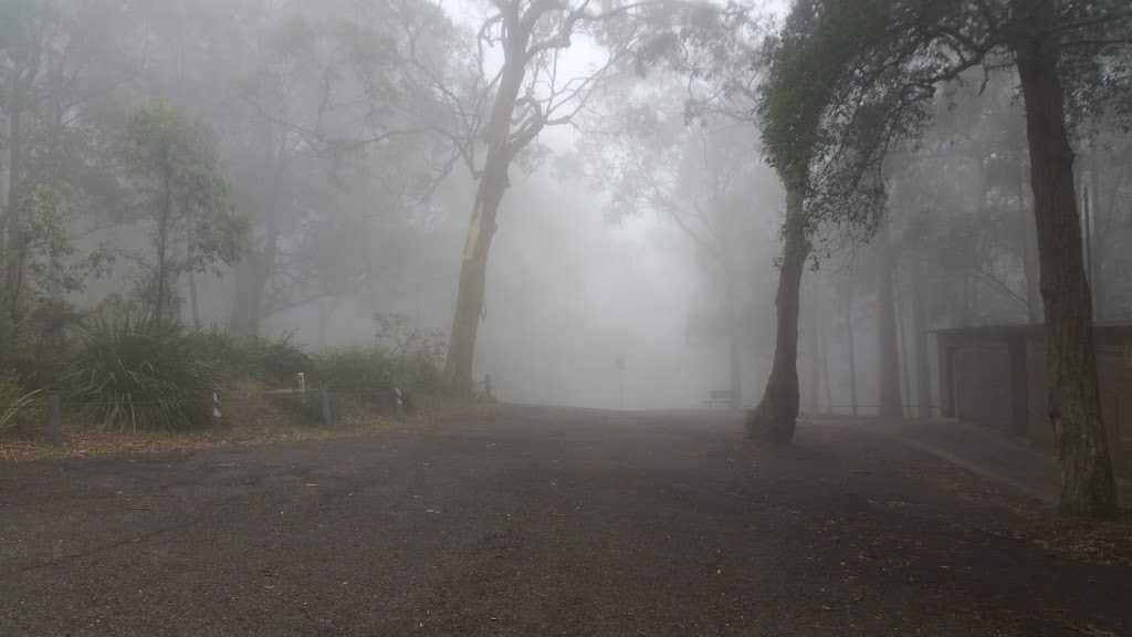 Heaton State Forest | Mount Vincent NSW 2323, Australia | Phone: 1300 655 687