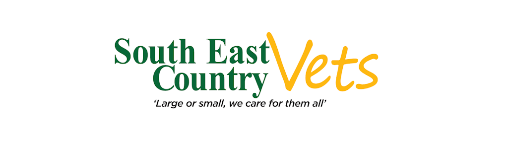 South East Country Vets - Crows Nest | 16 William St, Crows Nest QLD 4355, Australia | Phone: (07) 4698 2520