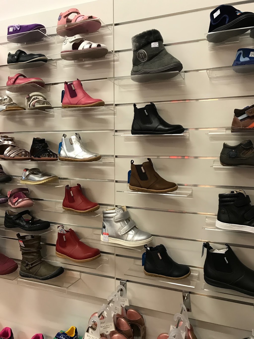 Daylesford Shoes | 5 Park Ln, Daylesford VIC 3460, Australia | Phone: 0404 866 713