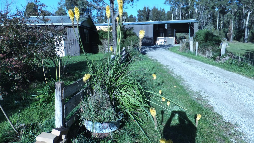 Eureka Farm | lodging | 89 Upper Scamander Rd, Scamander TAS 7215, Australia | 0363725500 OR +61 3 6372 5500