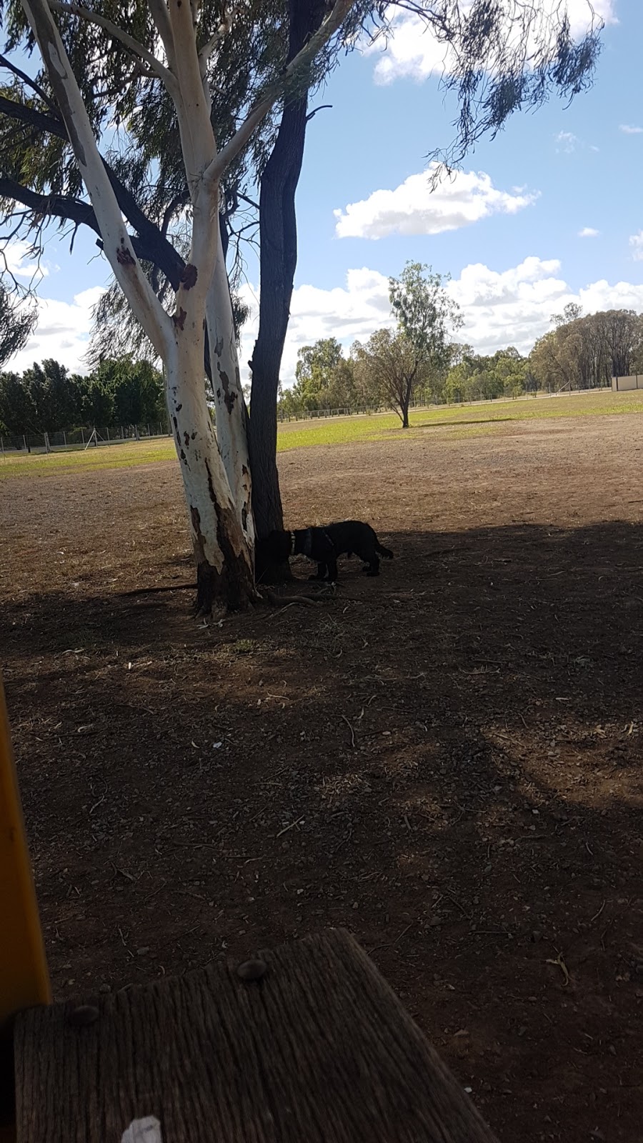 Biloela Dog Park | park | State Route 60, Biloela QLD 4715, Australia
