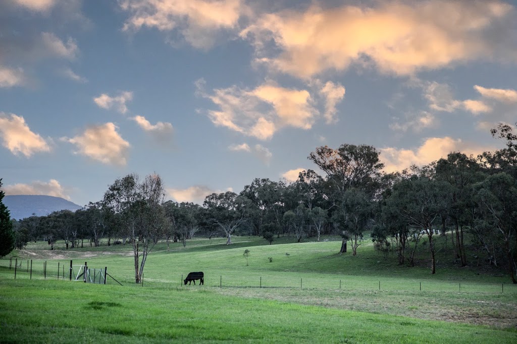 Wisteria Cottage Rylstone | 35 Wisteria Cottage Ln, Rylstone NSW 2849, Australia | Phone: 0414 777 599