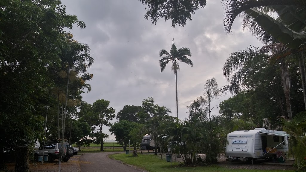 Palm Tree Caravan Park | 49450 Bruce Hwy, Ingham QLD 4850, Australia | Phone: (07) 4776 2403