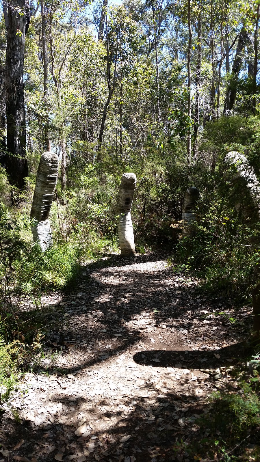 Understory Art & Nature Trail | Lot 178 Muirillup Rd, Northcliffe WA 6262, Australia | Phone: 0418 754 704