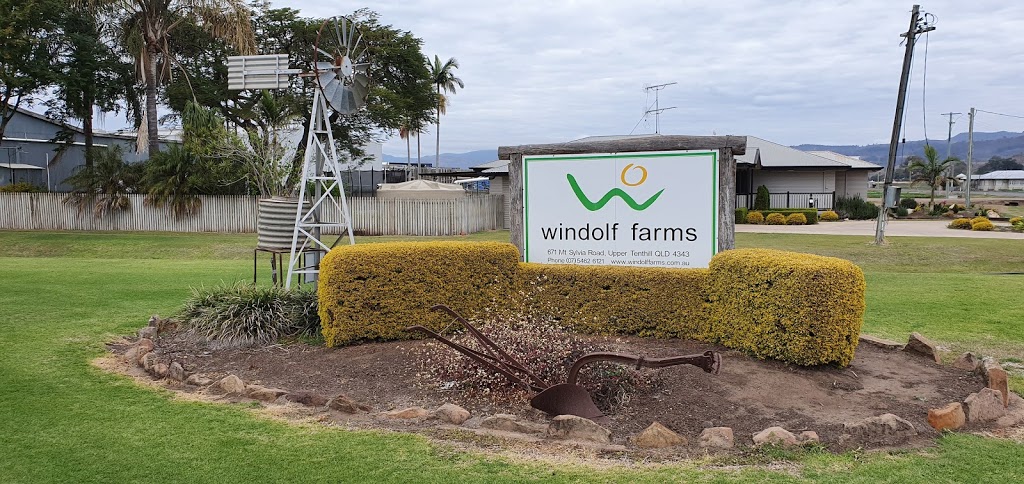 Windolf Farms Pty Ltd |  | 671 Mount Sylvia Rd, Upper Tenthill QLD 4343, Australia | 0754626121 OR +61 7 5462 6121