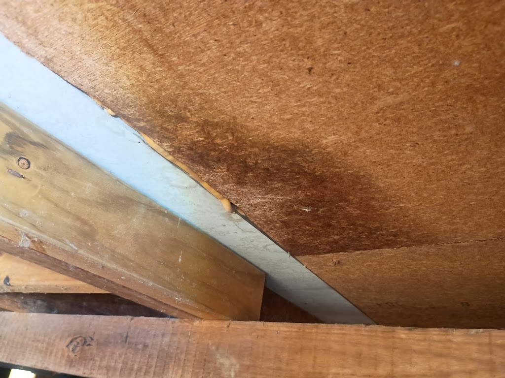 Thoroughcheck Building Inspections | Mowarra Cl, Koolewong NSW 2256, Australia | Phone: 0493 572 981