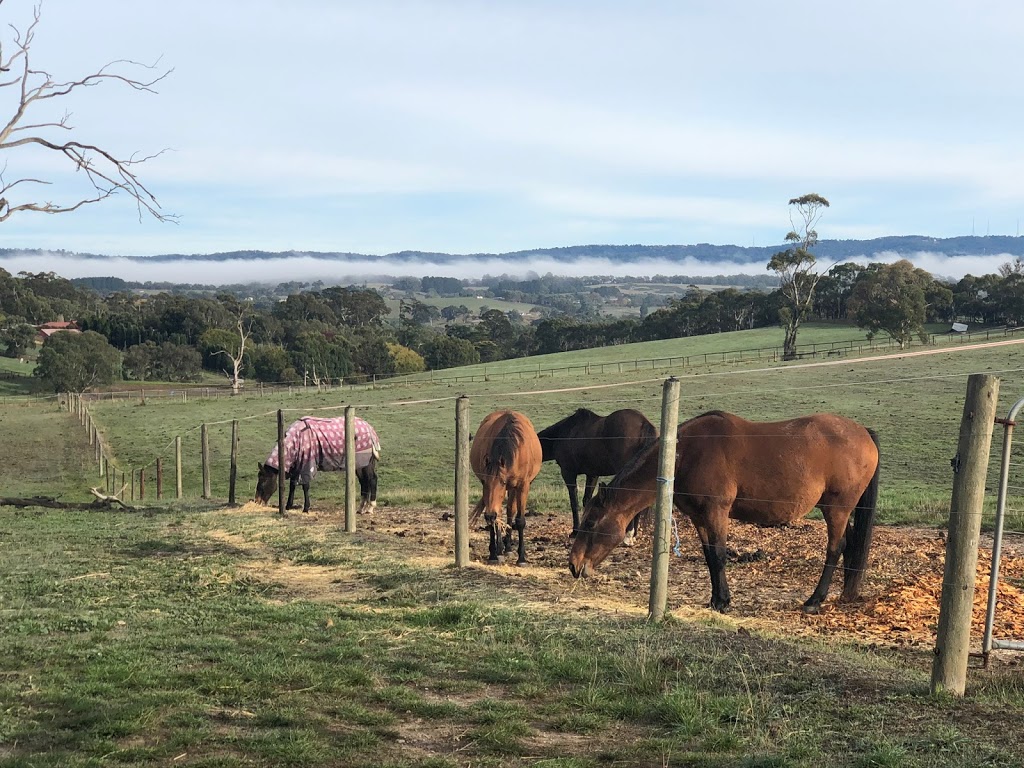 Darby Lodge | Mount Barker SA 5251, Australia | Phone: 0417 812 944