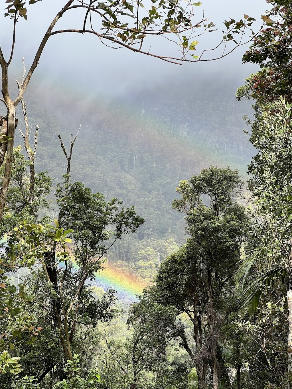 Gidjuum Gulganyi Walk | Unicorn Falls Walking Trak, Upper Main Arm NSW 2482, Australia | Phone: 1300 072 757