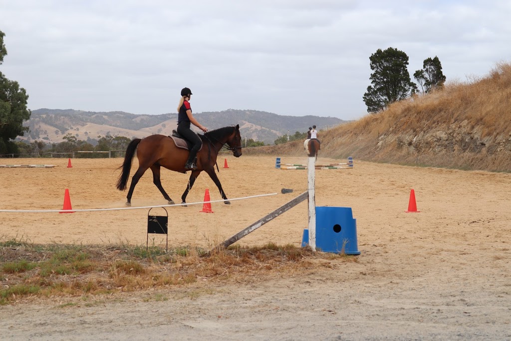 Templewood Horse Riding Centre |  | 49 Millbrook Rd, Inglewood SA 5133, Australia | 0883892388 OR +61 8 8389 2388