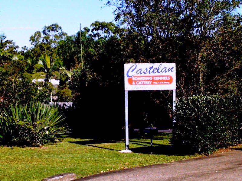 Castelan Boarding Kennels & Cattery | veterinary care | 85 Warriewood St, Chandler QLD 4155, Australia | 0733901132 OR +61 7 3390 1132