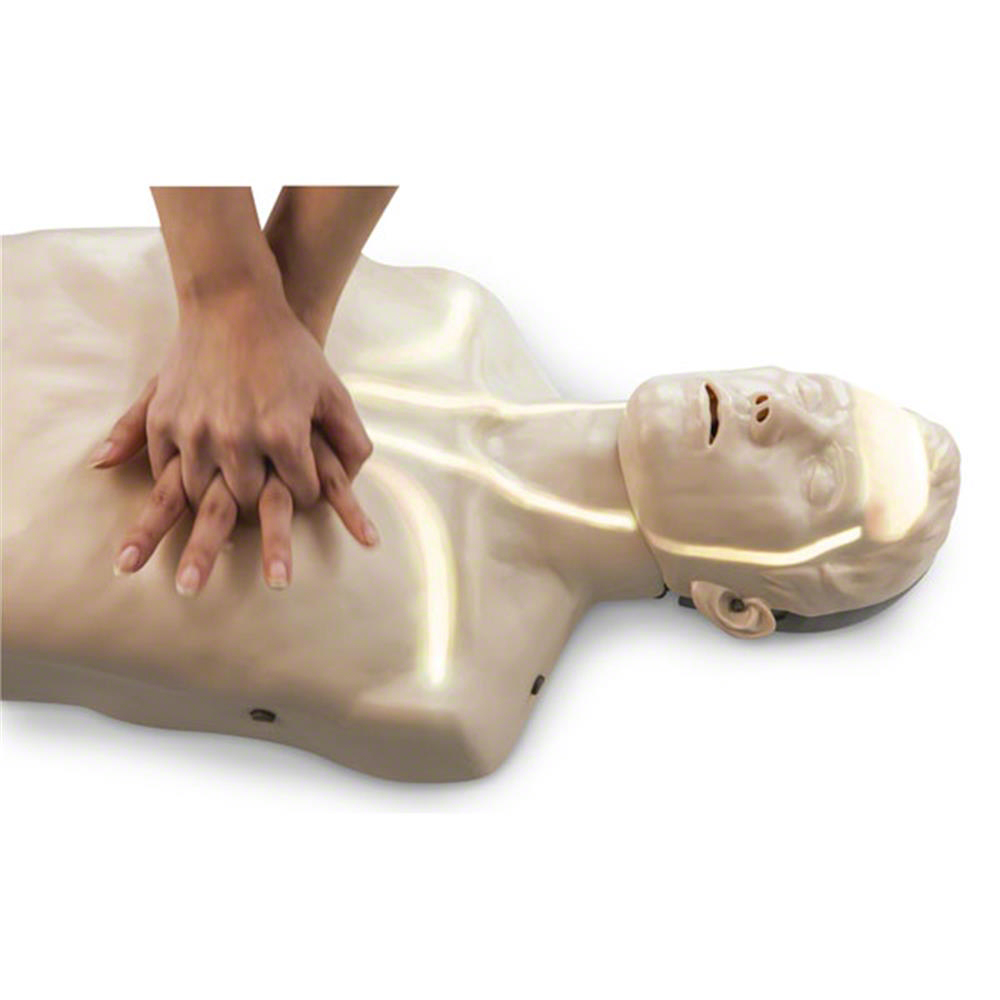 First Aid Course Hervey bay | Whale Bay Marina, Buccaneer Dr, Urangan QLD 4655, Australia | Phone: 0423 312 359