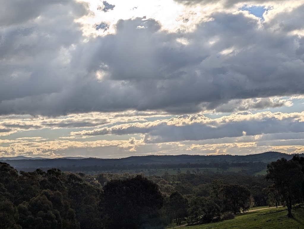Muto Wine | 120 Sharps and Taylors Rd, Tallarook VIC 3659, Australia | Phone: 0401 425 426
