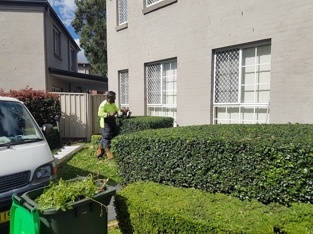 A1 Lawncraft & Cleaning Services | 13 Jeremy Way, Cecil Hills NSW 2171, Australia | Phone: 0439 264 601