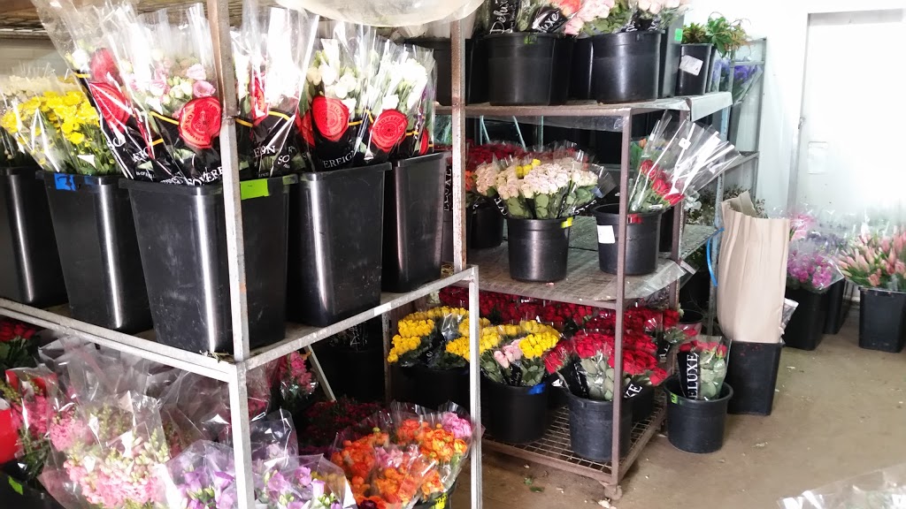 Flower Shed | florist | 58 Boundary Rd, Thornlands QLD 4164, Australia | 0732064254 OR +61 7 3206 4254