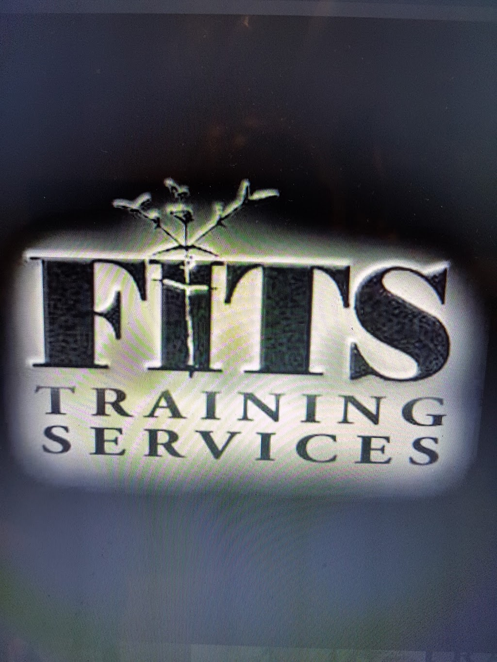 FITS Training Service | school | Willow Gardens, South Yunderup WA 6208, Australia | 0897256322 OR +61 8 9725 6322