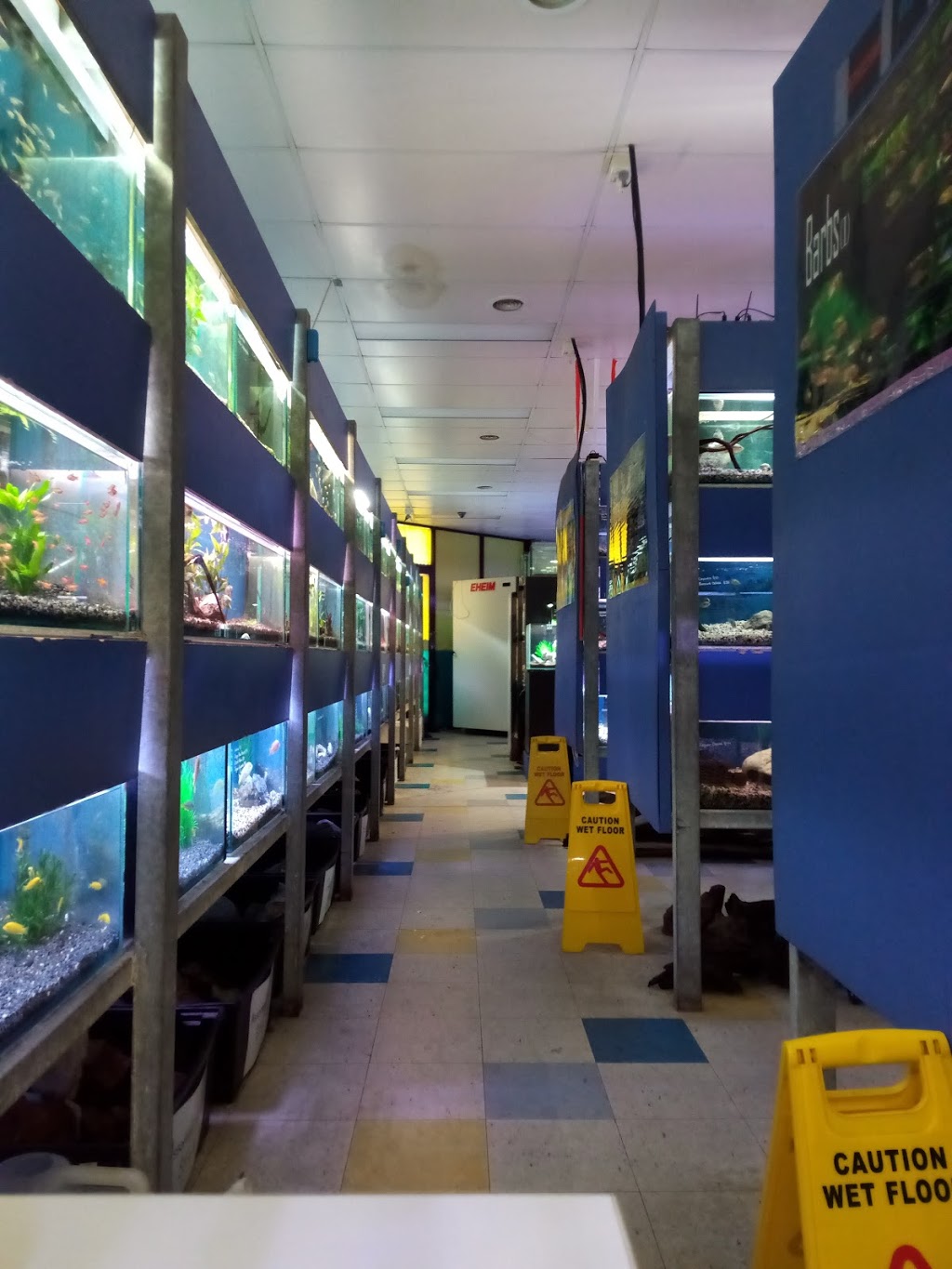 Bunarong Aquarium | pet store | 2/3 Overport Rd, Frankston VIC 3199, Australia | 0397836083 OR +61 3 9783 6083