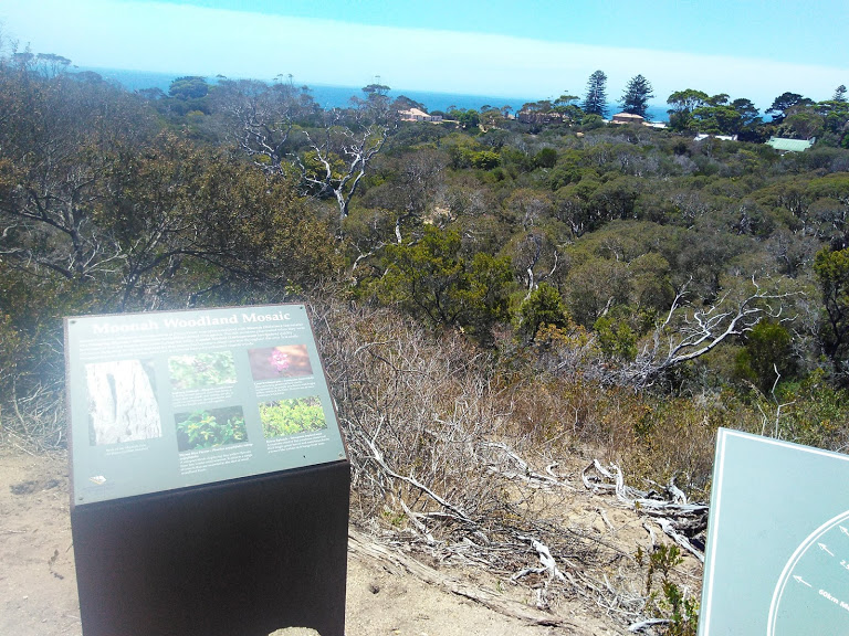 Photo by Thales. Moonah Woodland Lookout | tourist attraction | Portsea VIC 3944, Australia | 0384272299 OR +61 3 8427 2299