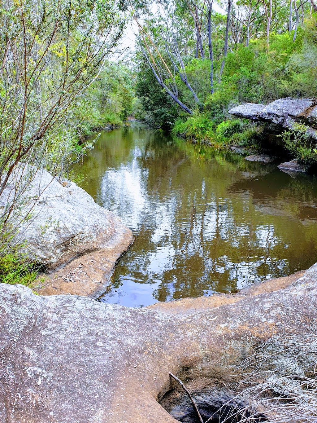 kingfisher Pool | park | Heathcote NSW 2233, Australia | 0295420648 OR +61 2 9542 0648