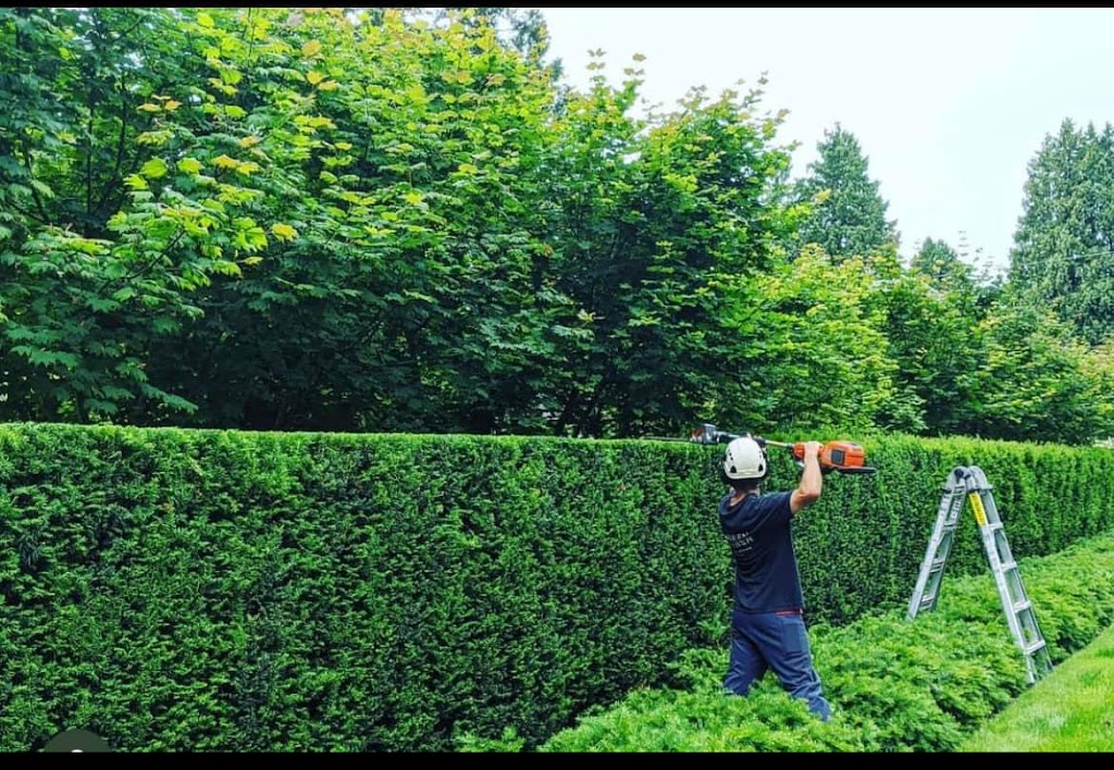 The Green Barber Tree Service | 70 Carlton Beach Rd, Dodges Ferry TAS 7173, Australia | Phone: 0433 804 284