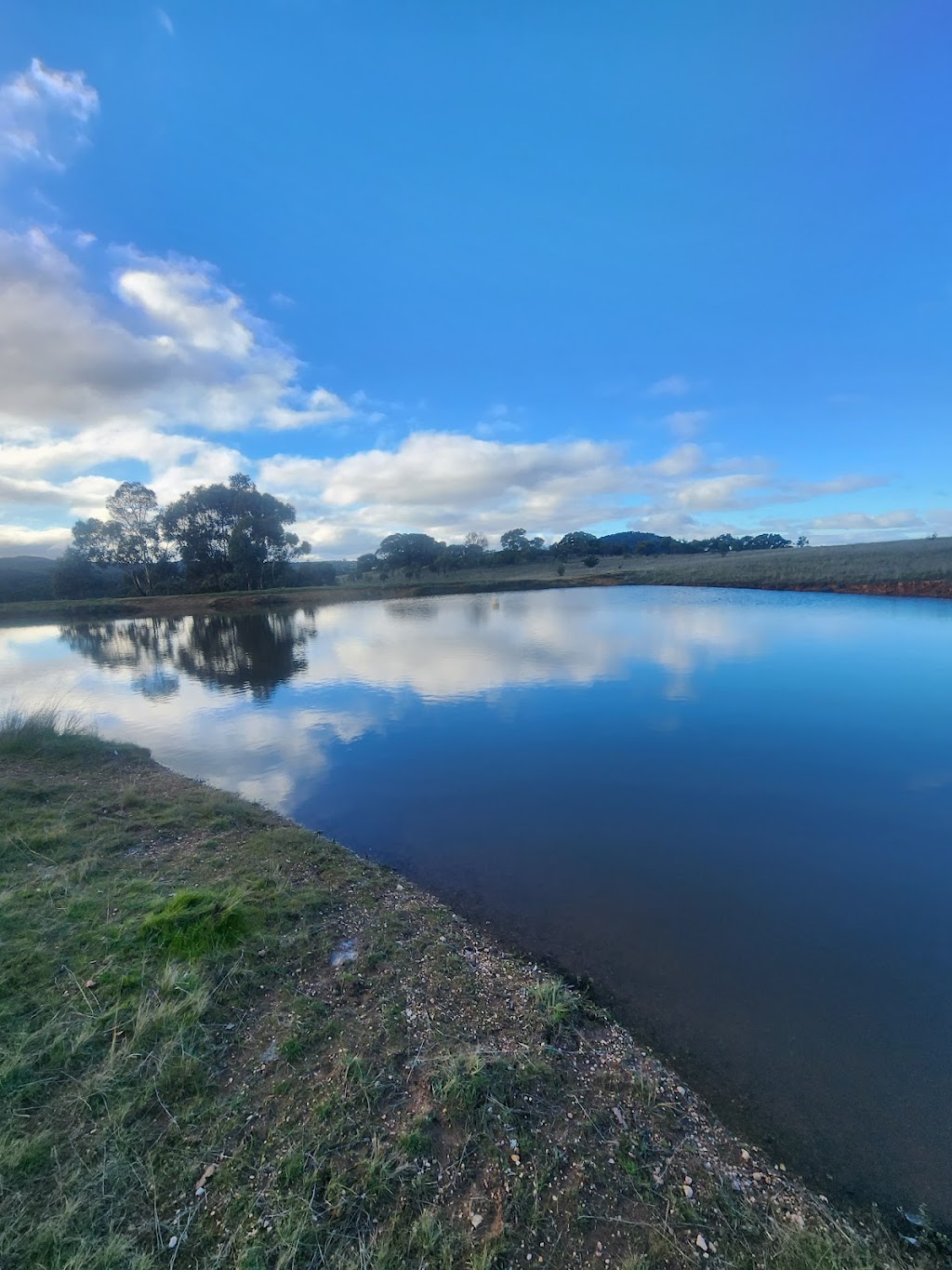 Clan of 6 Roses | Lot 2 Sugarloaf Rd, Rhymney VIC 3377, Australia | Phone: 0451 553 122