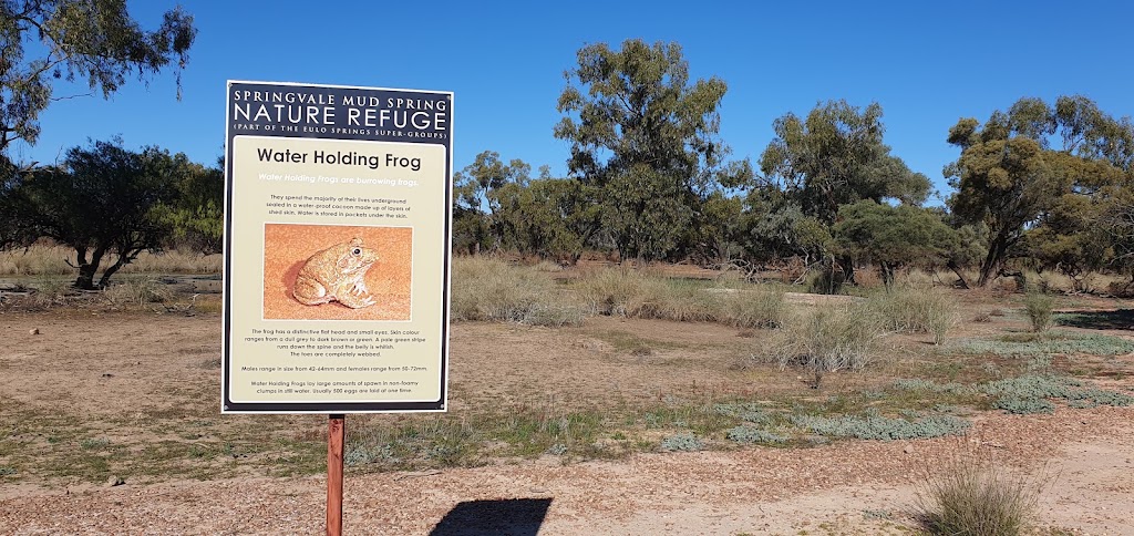 Artesian Mud Springs | Adventure Way, Eulo QLD 4491, Australia | Phone: 0415 316 396