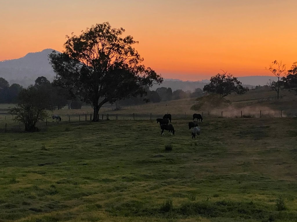 Sovereign Shires | 2560 Boonah Rathdowney Rd, Maroon QLD 4310, Australia | Phone: 0476 199 826