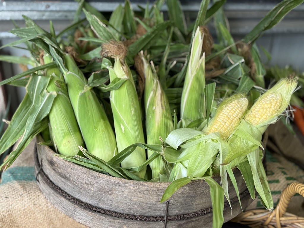 D and A Farm Fresh | 245 Eramosa Rd W, Moorooduc VIC 3933, Australia | Phone: 0401 569 837