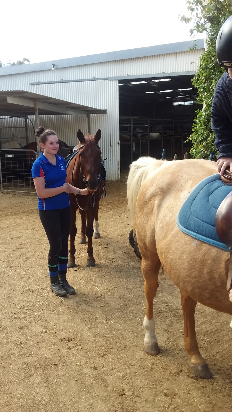 Stromlo Equestrian Centre | 912 Cotter Rd, Canberra ACT 2611, Australia | Phone: (02) 6288 1600