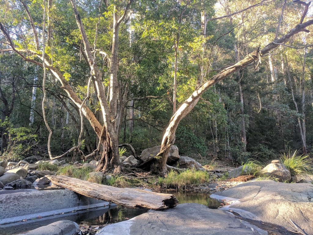 Cedar Creek Falls Retreat | 973 Cedar Creek Rd, Cedar Creek QLD 4520, Australia | Phone: (07) 3289 4551